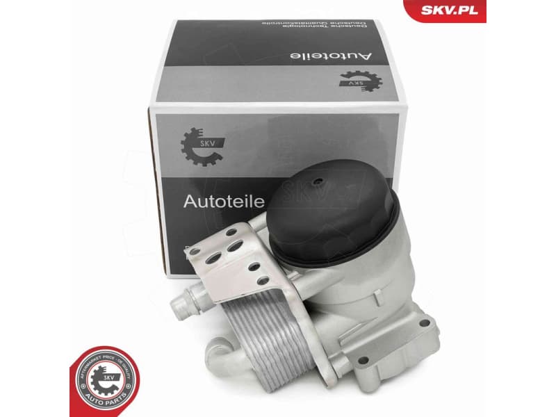 Oil Cooler, engine oil 31SKV443