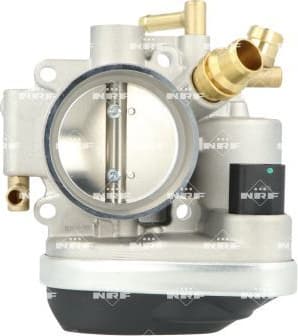 Throttle Body 408034