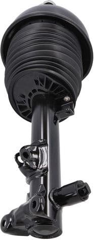 Air Suspension Strut 2070043 - image 2