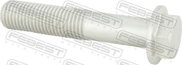 Fastening Bolt, control arm 2198-004