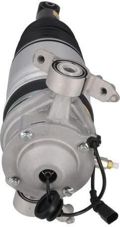 Air Suspension Strut 2070031 - image 4