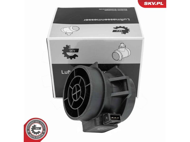 Mass Air Flow Sensor 07SKV294
