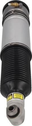 Air Suspension Strut 2070100