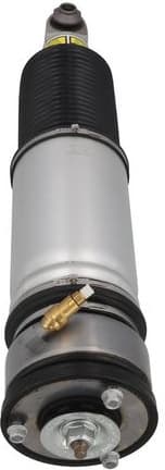 Air Suspension Strut 2070100 - image 3