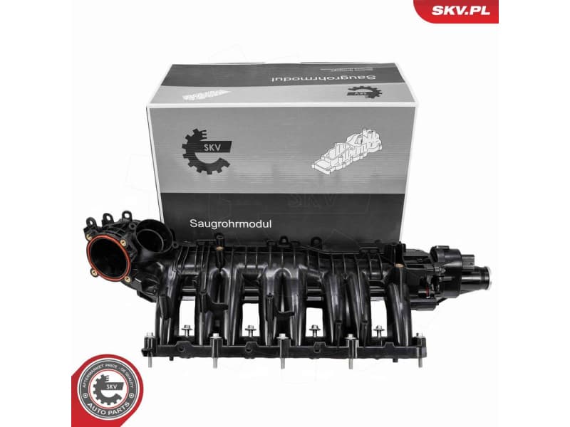 Intake Manifold Module 49SKV090