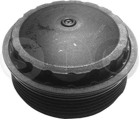 Cap, oil filter T403840
