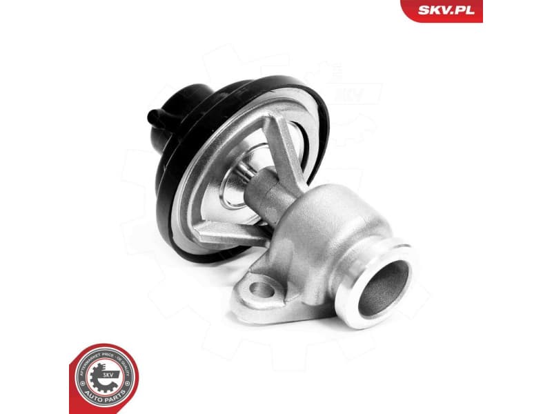 EGR Valve 14SKV321