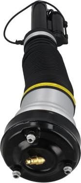 Air Suspension Strut 2070038