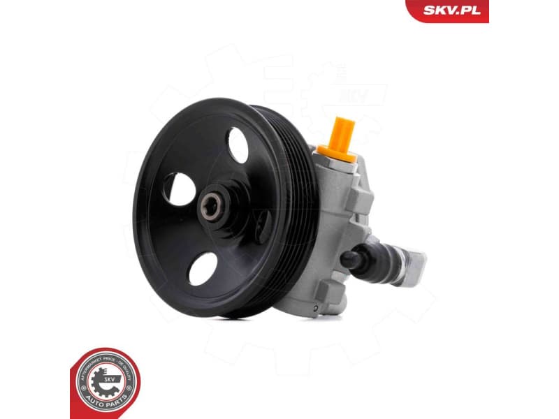 Hydraulic Pump, steering 10SKV335