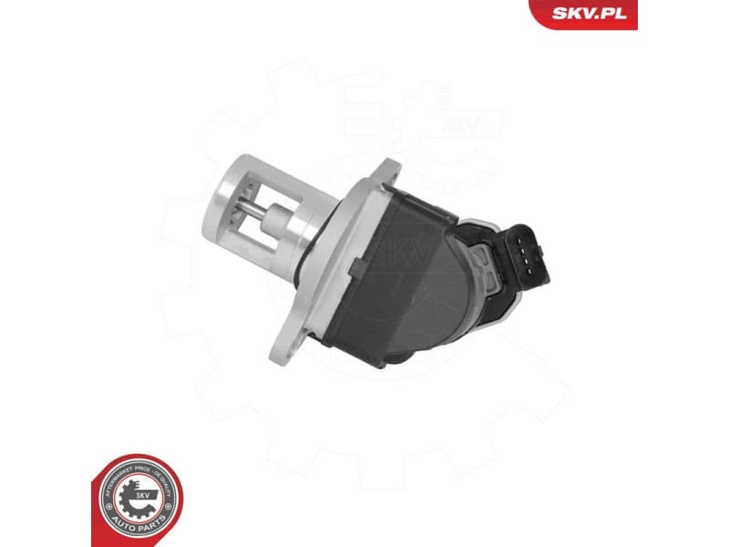 EGR Valve 14SKV309