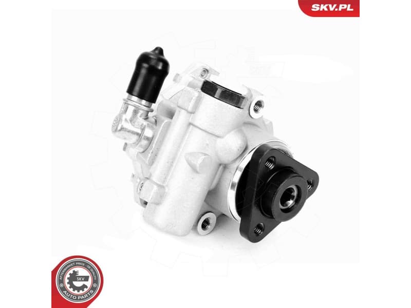 Hydraulic Pump, steering 10SKV330