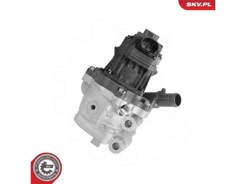EGR Valve 14SKV301