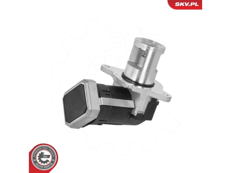 EGR Valve 14SKV306
