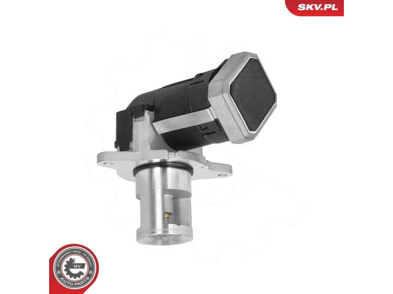 EGR Valve 14SKV308