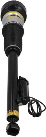 Air Suspension Strut 2070053
