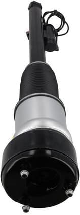 Air Suspension Strut 2070053 - image 4