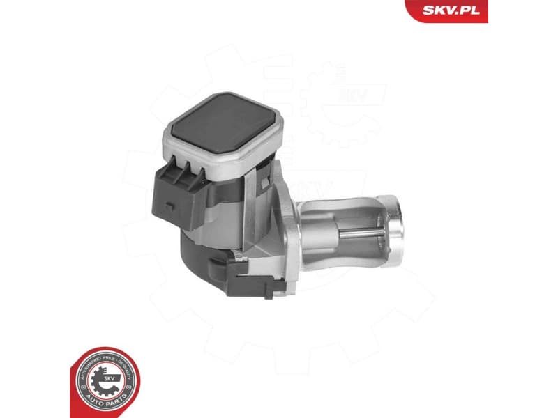 EGR Valve 14SKV324
