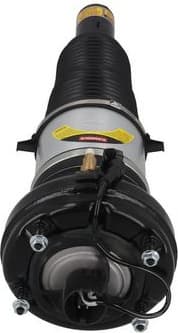 Air Suspension Strut 2070093 - image 4
