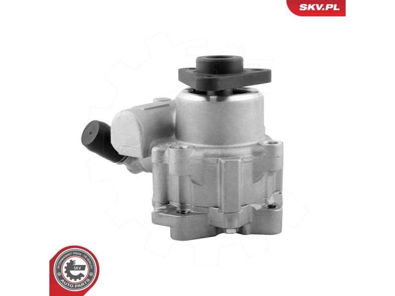 Hydraulic Pump, steering 10SKV329