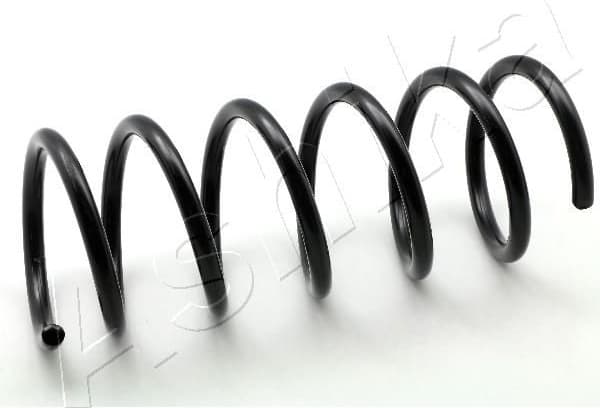 Suspension Spring ZCA5596A