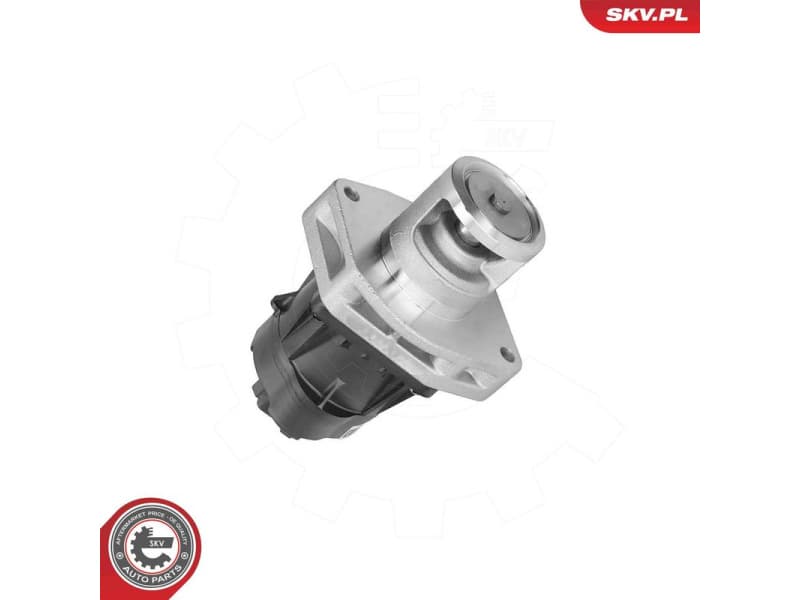 EGR Valve 14SKV302