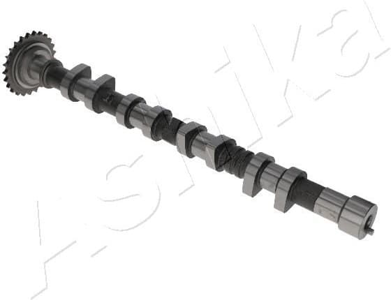 Camshaft 16HY009