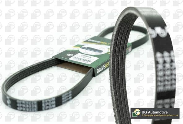 V-ribbed Belt 4PK798E