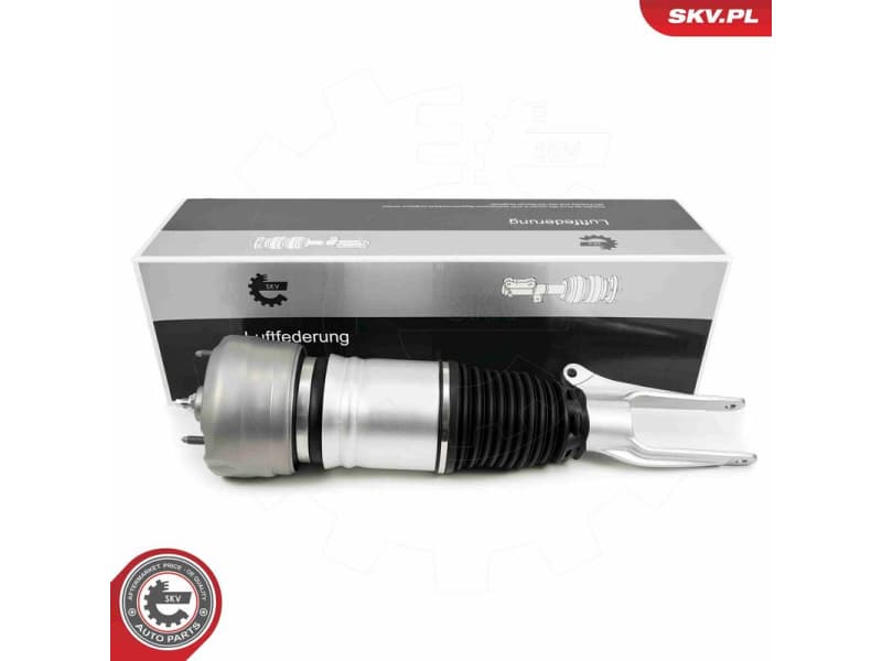 Air Suspension Strut 58SKV708