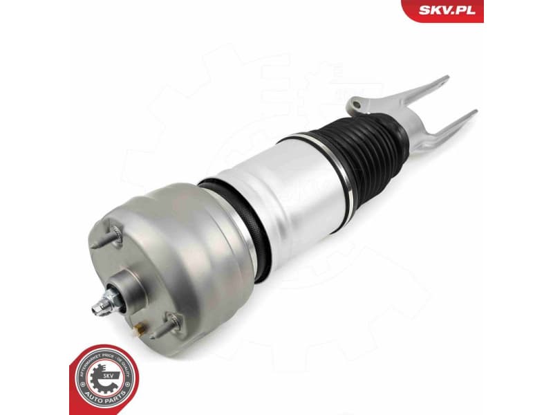 Air Suspension Strut 58SKV708 - image 2