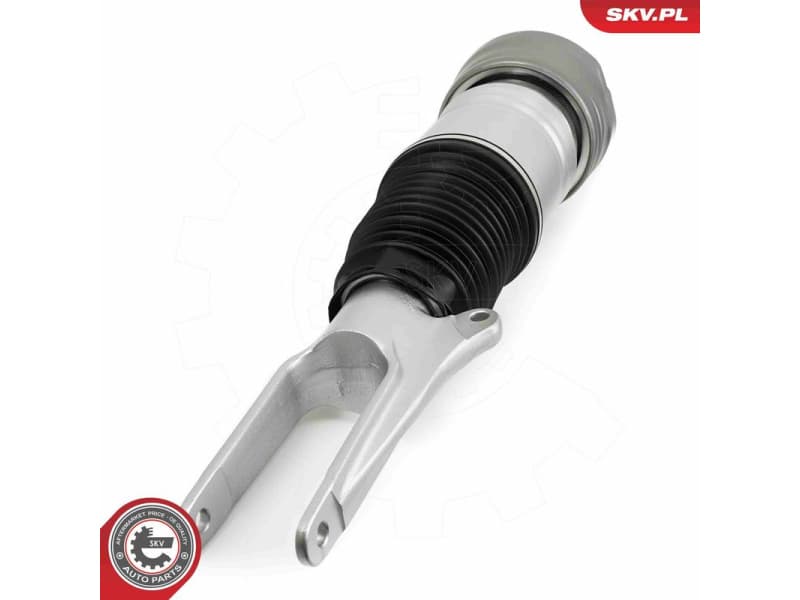 Air Suspension Strut 58SKV708 - image 3