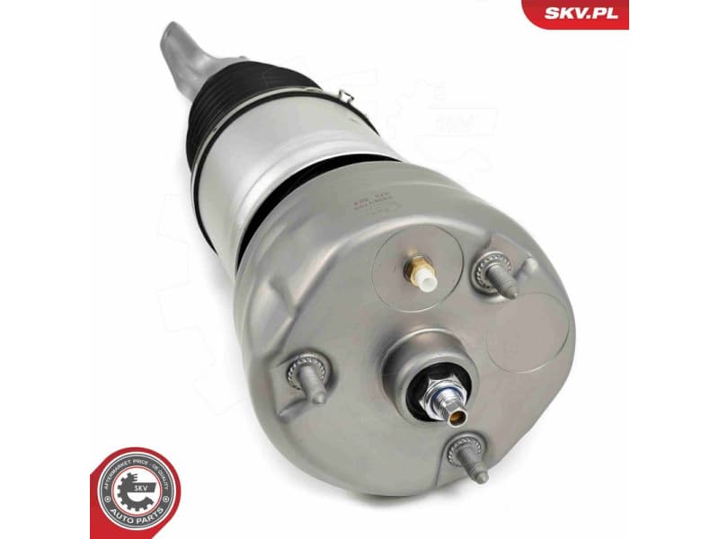 Air Suspension Strut 58SKV708 - image 4