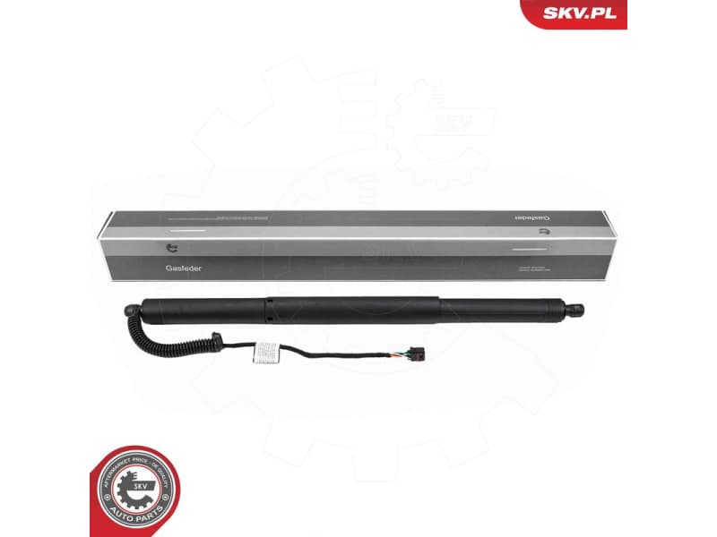 Electric Motor, tailgate 52SKV282