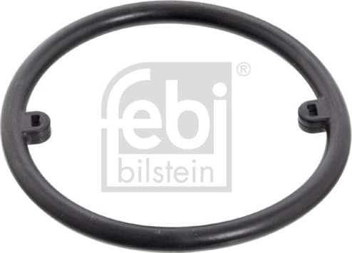 Gasket oil cooler 18776