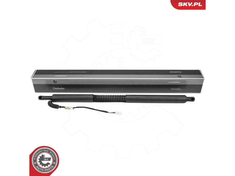 Electric Motor, tailgate 52SKV981