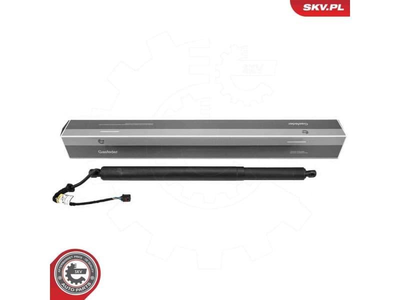 Electric Motor, tailgate 52SKV212