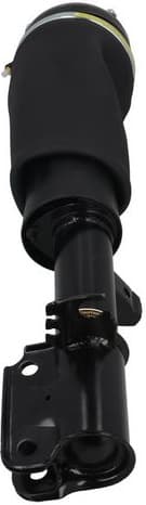 Air Suspension Strut 2070066 - image 2