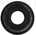 Seal Ring, valve stem 70-20417-00