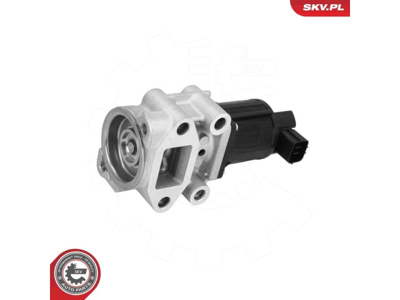 EGR Valve 14SKV300
