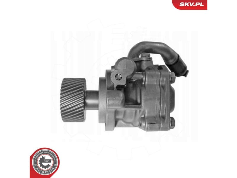 Hydraulic Pump, steering 10SKV323