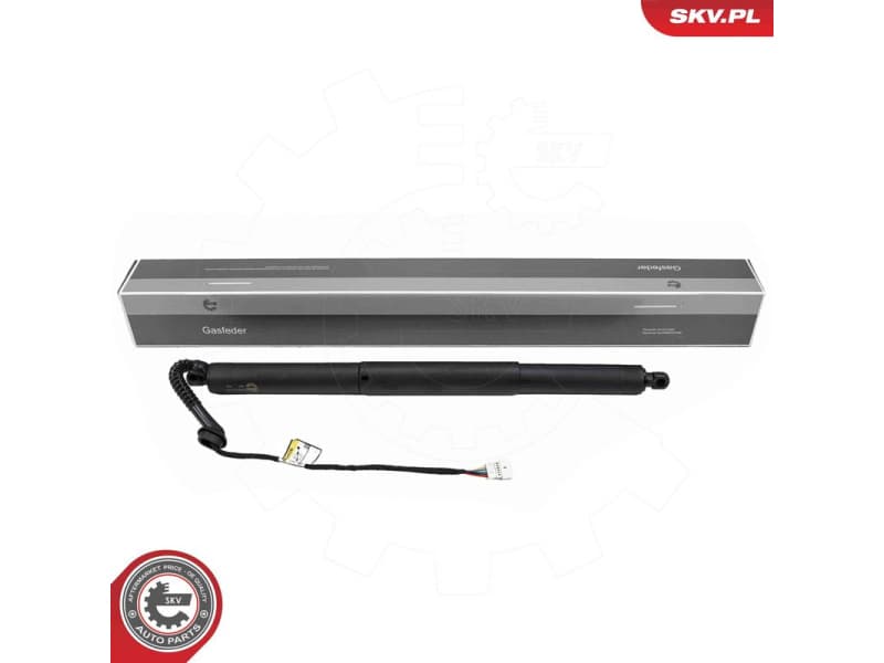 Electric Motor, tailgate 52SKV179