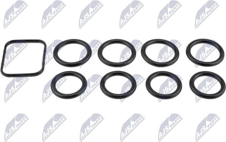 Gasket intake manifold BKS-CT-003