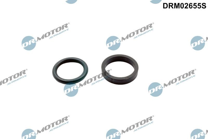 Seal, camshaft adjustment DRM02655S