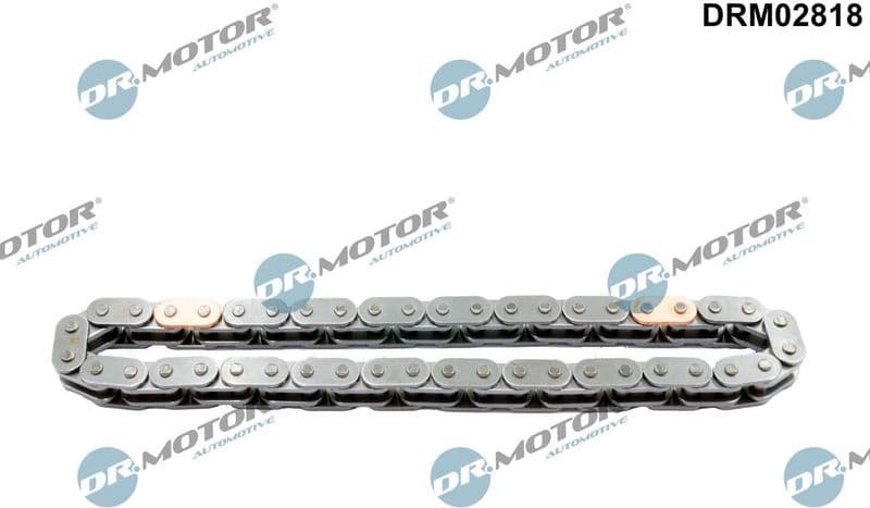 Timing Chain DRM02818
