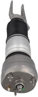 Air Suspension Strut 2070104 - image 4