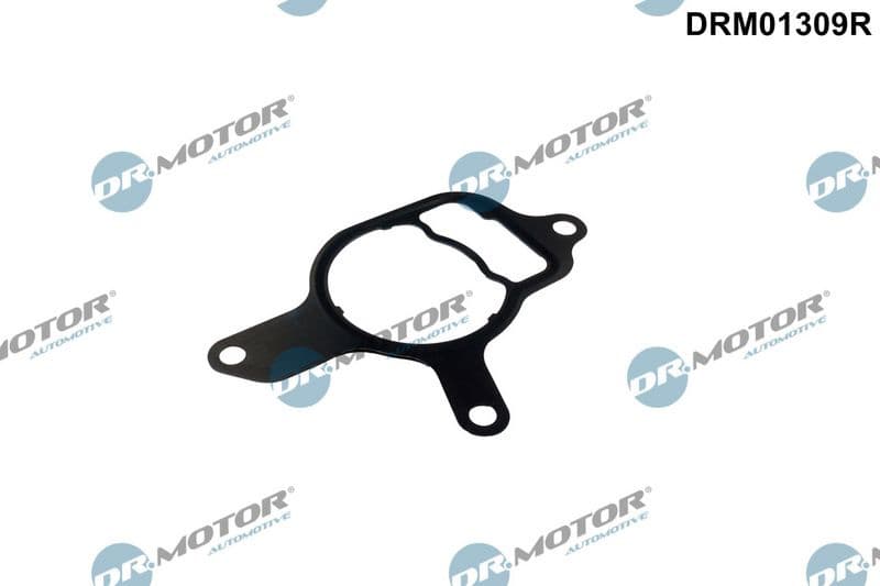 Gasket, vacuum pump DRM01309R