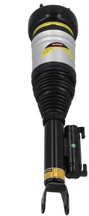 Air Suspension Strut 2070059