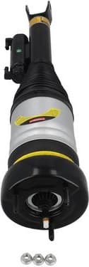 Air Suspension Strut 2070059 - image 3
