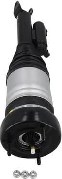 Air Suspension Strut 2070059 - image 4