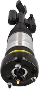 Air Suspension Strut 2070063