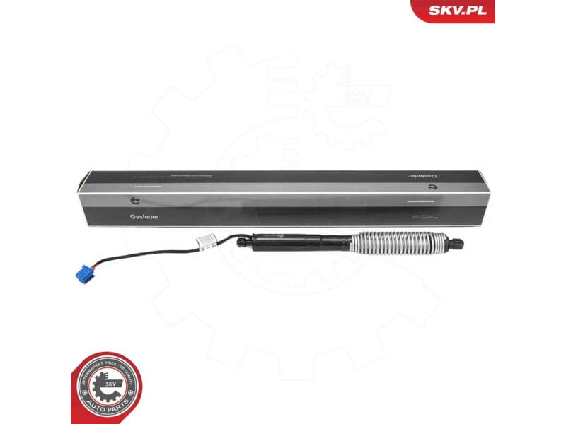 Electric Motor, tailgate 52SKV985